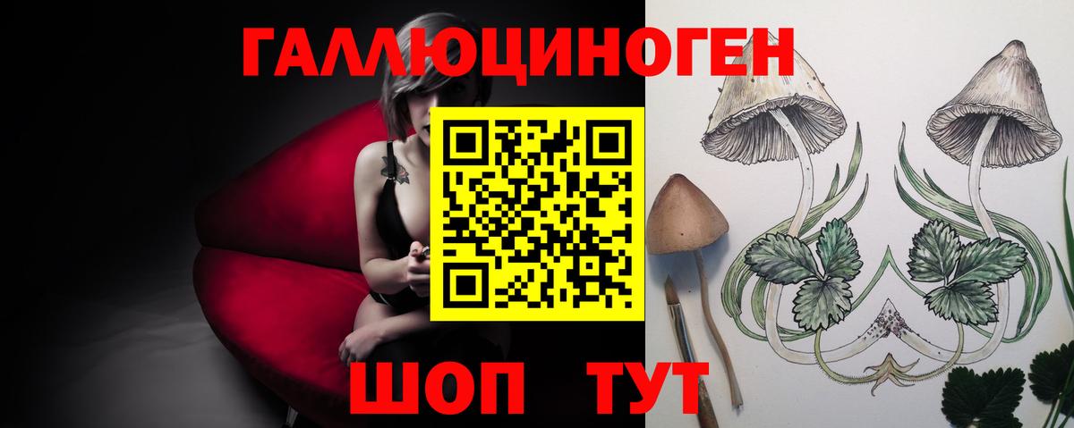 Галлюциногенные грибы прущие грибы  сколько стоит  Всеволожск  Галлюциногенные грибы MAGIC MUSHROOMS  Вход с VPN 