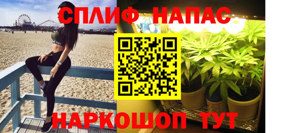 Шишки марихуана план  Канабис White Widow  Вход с VPN  Бошки марихуана VHQ  Всеволожск  Бошки Шишки THC 21% 